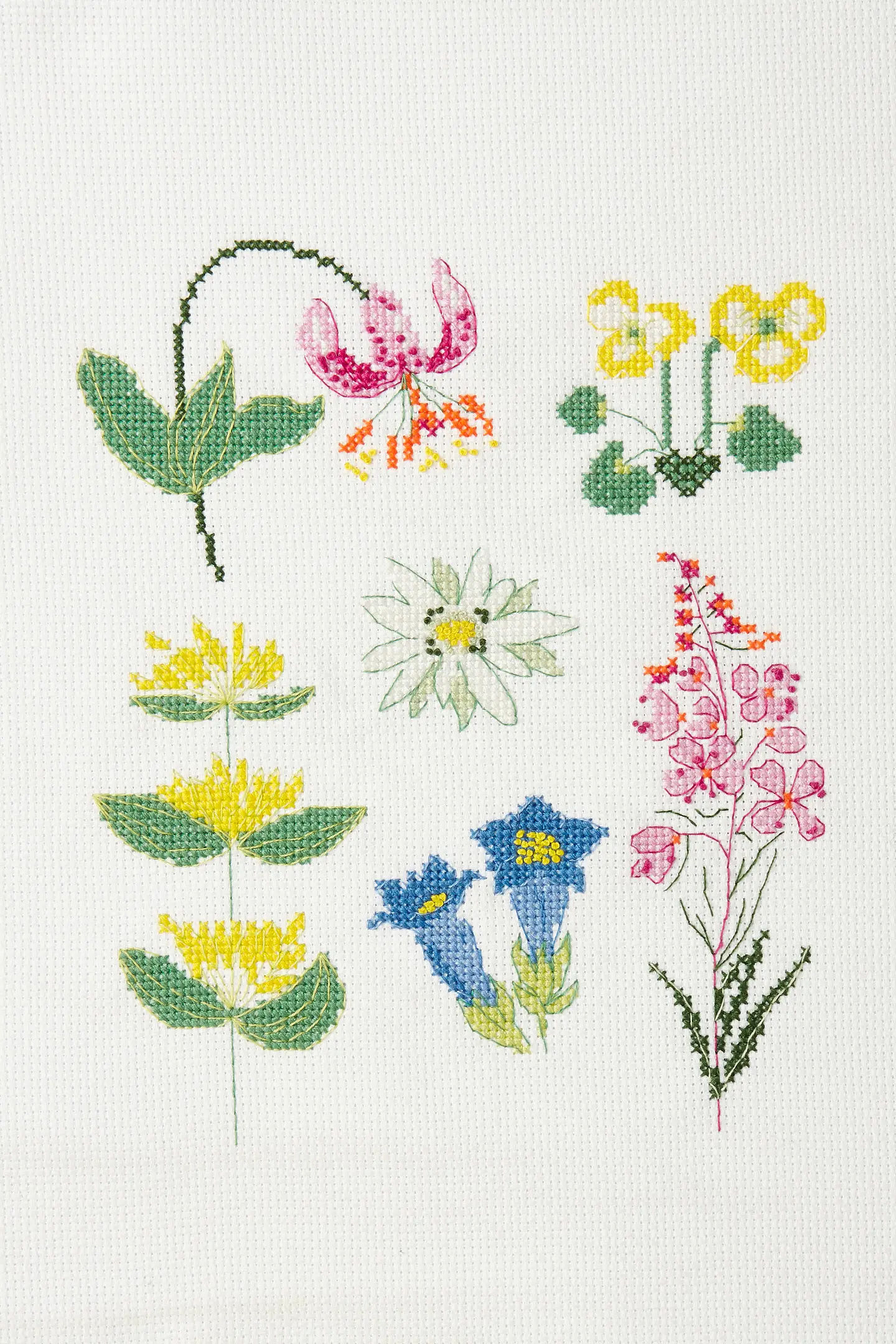 Miniature 2